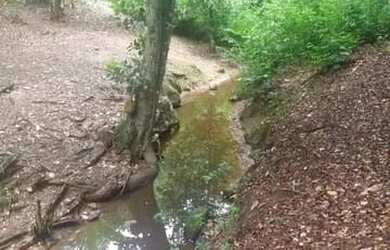 Imagem 7: SITIO 3 HECTARES | Á VENDA