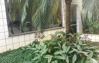 Imagem 7: Apto cobertura 2 quartos e 02 Vagas