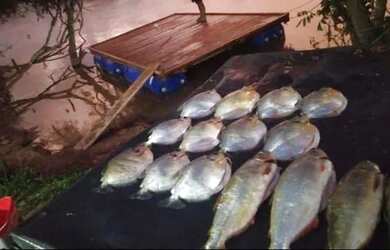 Imagem 3: Pesqueiro Chácara com venda por R$70.000