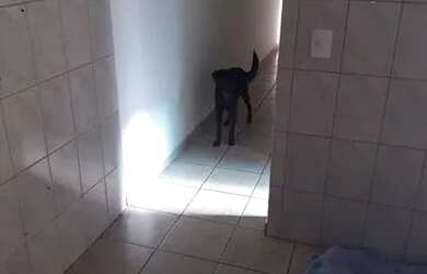 Imagem 6: Venda troca sobrado caragua imóvel são jose campos