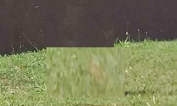 Imagem: Terreno à venda no bairro Jardim Novo Horizonte