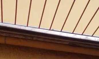 Imagem 5: Aluguel definitivo kit Perequê Açu