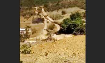 Imagem: Lote Jardim Botânico de 360 metros