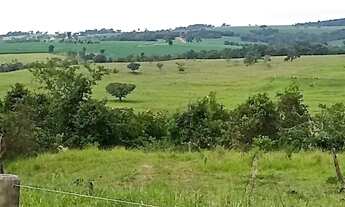 Imagem 6: Fazenda a venda em Morrinhos Goiás!!!