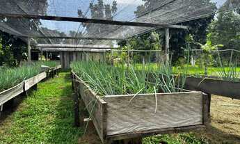 Imagem 7: Sítio com piscicultura Rod. Manoel Urbano, KM 53 AM070