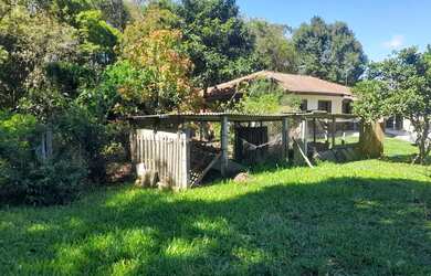 Imagem 2: Chácara em São José dos pinhais