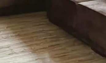 Imagem 2: Casa com 4 quartos e amplo terreno no São Braz, Curitiba