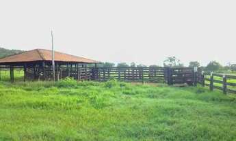 Imagem: Vendo Faz de 42 alqueires Porangatu