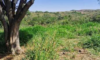 Imagem 7: FAZENDA 118,266 HECTARES TIROS MG