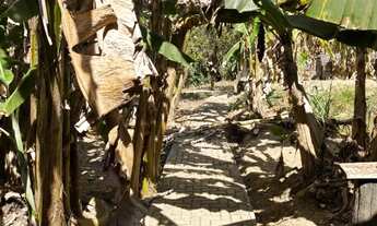 Imagem 6: Chácara disponível para venda!