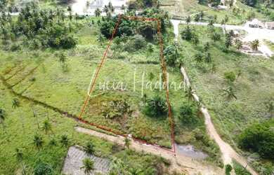 Imagem 2: Terreno Alto do Tatu - Tatuamunha