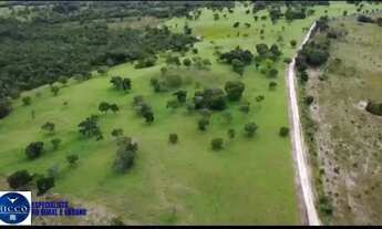 Imagem 5: Fazenda à Venda em Faina GO | 101 Alqueires