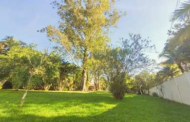 Imagem 3: Sítio Eucalyptus - Festas e Eventos - promoção de verão festas, encontros e lazer