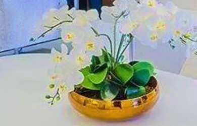 Imagem 2: Apartamento amplo com 2 suítes, 2 vagas e área de lazer em Tambauzinho