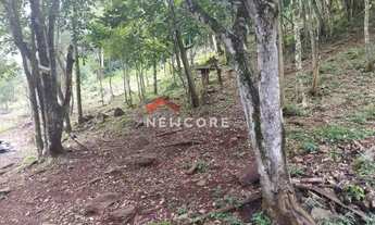 Imagem 4: Sítio em Rua Samambaia - Samambaia - São Francisco de Paula/RS