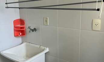 Imagem 5: Pitangueira 280.000