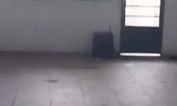 Imagem 7: SALÃO COMERCIAL - VILA SCARPELLI