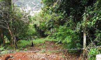 Imagem 4: Terreno 1007 m2 na Cachoeira do Bom Jesus, 1km da praia