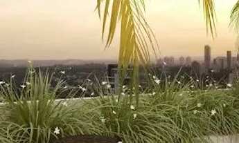 Imagem 3: Plus Portão Apartamento com 2 dormitórios