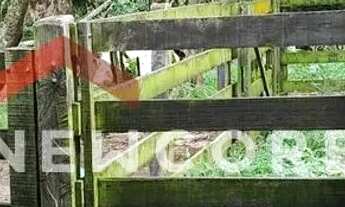 Imagem 5: Sítio em Rua Saldanha Marinho - Centro - Itapetininga/SP