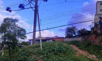 Imagem 5: Terreno 12x36m (432m²) em almirante Tamandaré