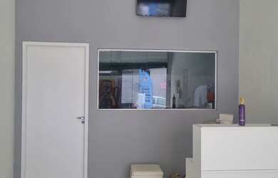 Imagem 2: Loja montada Pet Shop