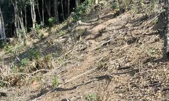 Imagem 6: Vendo linda chácara ==valor 60 mil