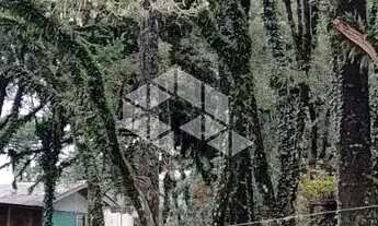 Imagem 5: Terrebo de esquina com 1084m² Canela