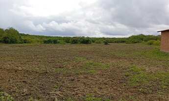 Imagem 4: Terreno no trairi