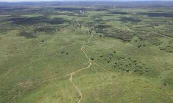 Imagem 5: VENDO FAZENDA PANTANAL POCONÉ 4.263 HAC