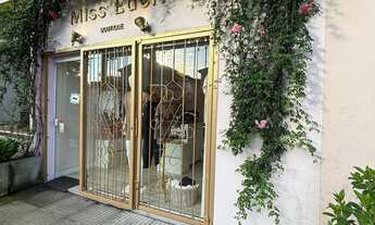 Imagem 2: Vendo loja completa