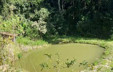 Imagem 7: Terrenos para venda com 500 metros quadrados em Vila São Domingos - São Roque - SP