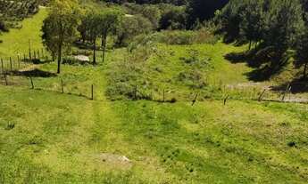Imagem 3: Terreno Colombo Terreno / lote com venda por R$231.500