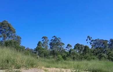 Imagem 4: Terrenos para venda possui 1000 metros quadrados em Centro (São João Novo) - São Roque - S
