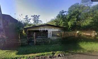 Imagem 3: Fazenda / Sítio / Chácara à venda Rua Cruz Jobim, Morada Gaúcha - Gravataí