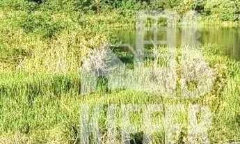 Imagem 4: Fazenda com 3 dormitórios à venda, 1210000 m² por R$ 6.000.000,00 - Reginópolis - Silva Ja