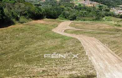 Imagem 2: Liberdade total para criar