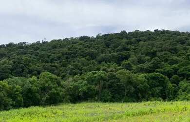Imagem 7: Terreno em Ibiúna para Chácara, Lazer ou Moradia