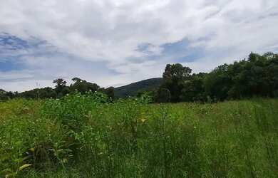 Imagem 4: Onde seus planos encontram espaço para crescer - SP