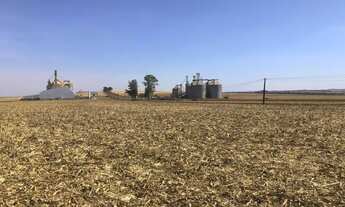 Imagem 3: 4 alqueires em Ibiporã na PR 090 com 400 m de frente