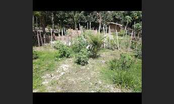 Imagem 2: Vendo ou troco terreno 12x20