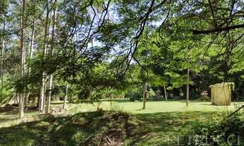 Imagem 4: área - Sítio Recreio dos Cafezais - Valinhos