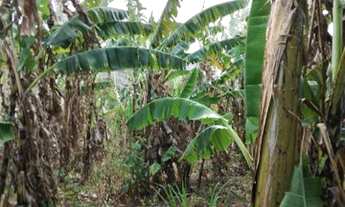 Imagem 5: Vendo ou troco Chácara com venda com preço sob consulta