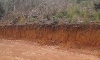 Imagem 3: Terreno cercado com alambrado