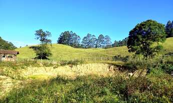 Imagem 5: Ótimo sítio em Anitápolis - 5.5hectares