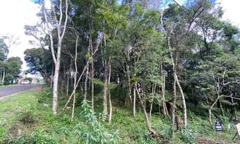 Imagem 3: Gramado - Terreno Padrão - Floresta