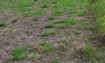 Imagem 5: Chácara Chácara com venda por R$65.000