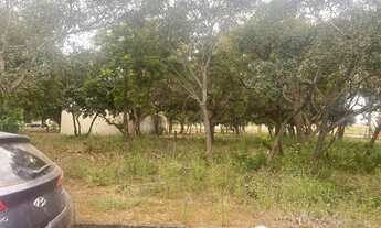 Imagem: 1404 sul, Arse 141, lote com ótima localização