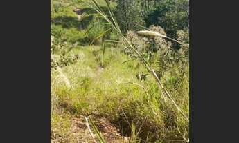 Imagem 2: Lote/Terreno para venda tem 6000 metros quadrados em Ivoturucaia área URBANA - Jundiaí - S