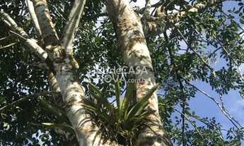 Imagem 3: Sítio JABUTI - Para venda tem 1000 metros quadrados em Tarumã - Manaus - AM